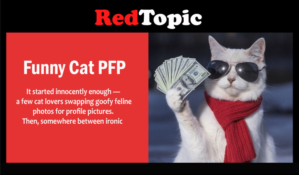 Funny Cat PFP