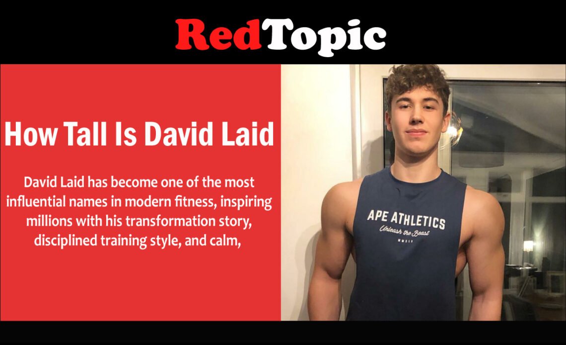 Red Topics How Tall Is David Laid: His Age and Weight Explained - Red Topic