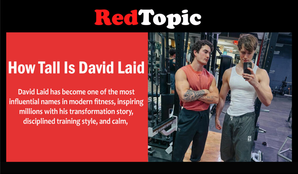 How Tall Is David Laid