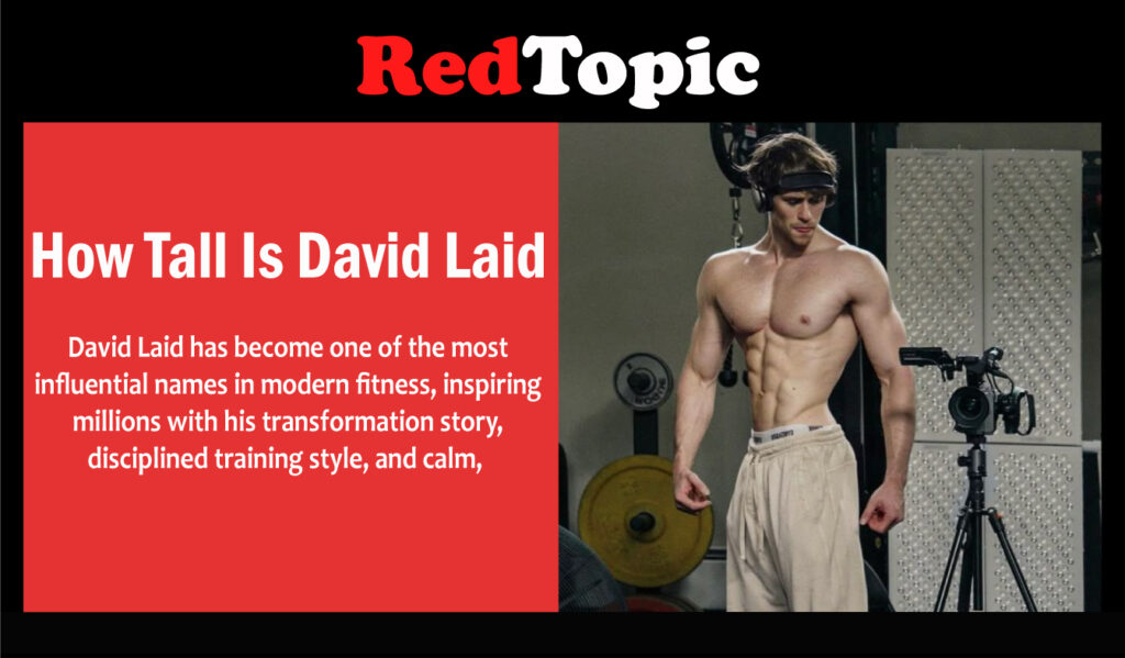 How Tall Is David Laid