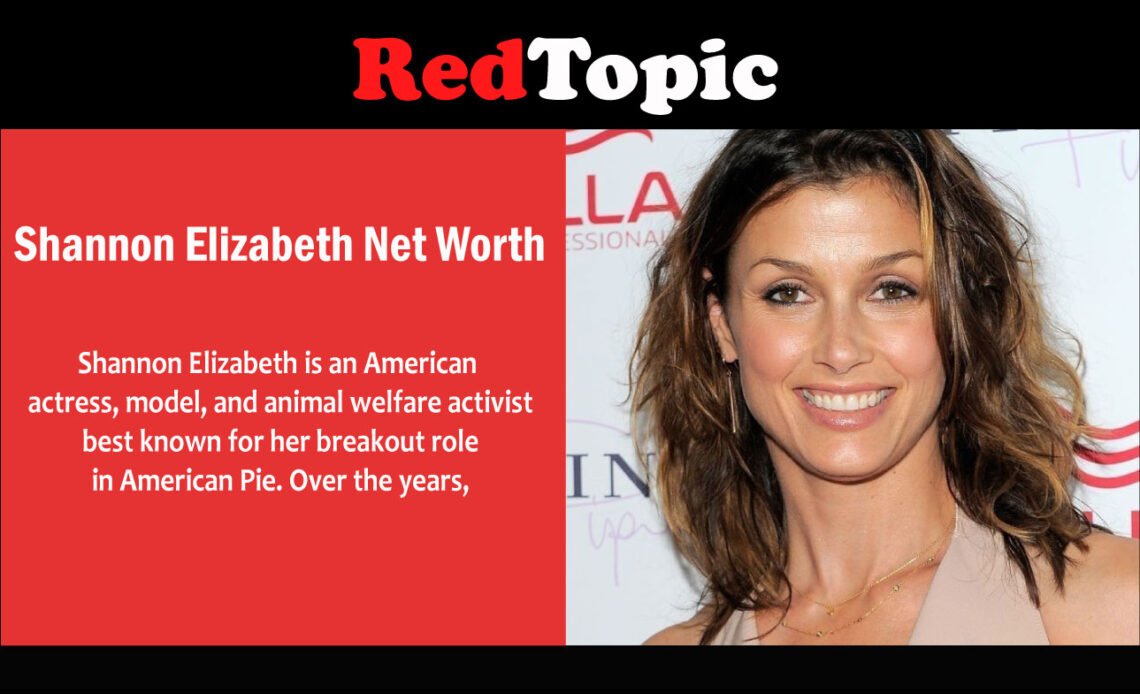 Shannon Elizabeth Net Worth - Red Topic