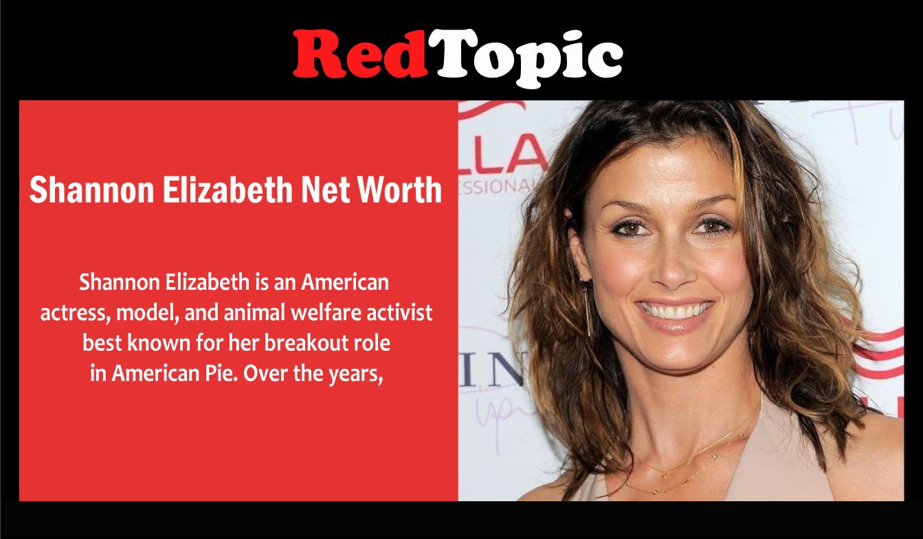 Shannon Elizabeth Net Worth - Red Topic